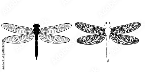 Detailed Dragonfly Silhouette and Line Art Set, Black and White Hand-Drawn Insect Illustration, Summer Nature Outline, Zentangle Style Wings, Tattoo Design, Clip Art Vector