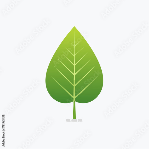 Illustration design plat de feuille verte d'arbre représentant l'écologie