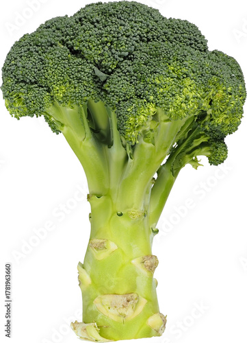 Fresh, green broccoli isolated on white background