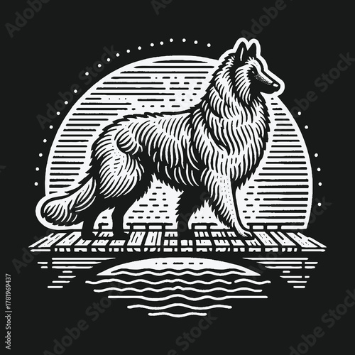 Belgian Tervuren Shepherd Dog Standing on a Wooden Pier.