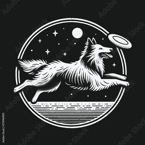 Monochrome illustration of a collie dog catching a frisbee at night.