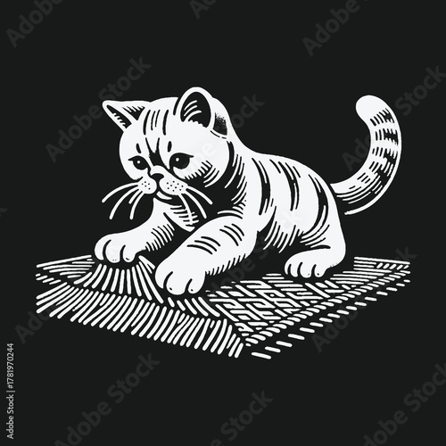 Adorable striped kitten scratching a woven rug black and white.