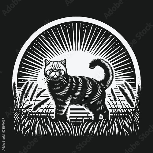 Black and white exotic shorthair cat in a field at sunrise woodcut style illustration.