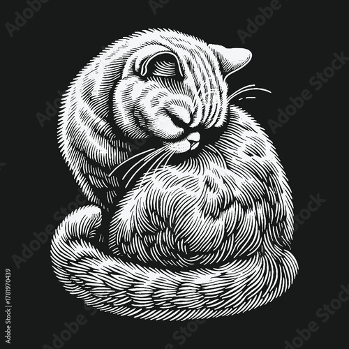 Vintage woodcut illustration of a curled up sleeping cat.