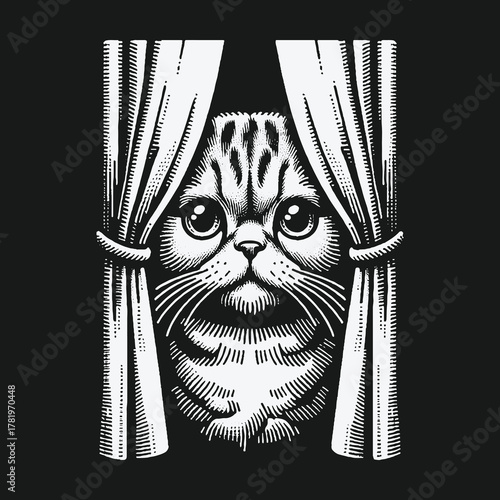 A curious cat with big eyes peeks from behind the curtains.