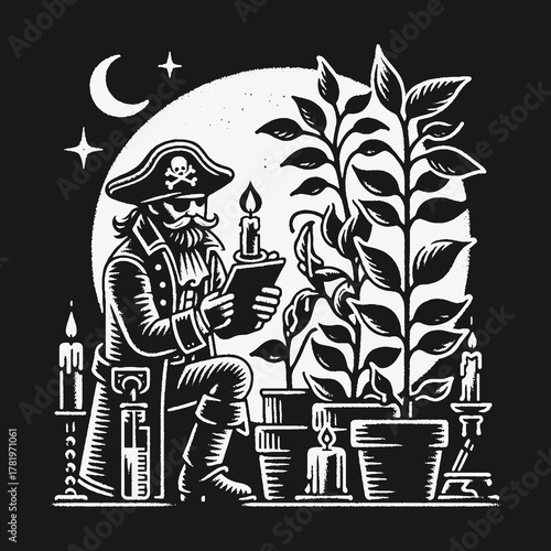 Pirate Botanist Studying a Plant by Moonlight Illustration.