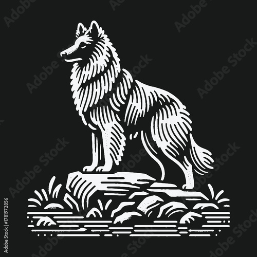Majestic Belgian Shepherd dog standing on rocks linocut illustration.