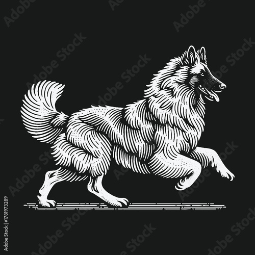 Vintage Engraving Style Illustration of a Running Belgian Shepherd Dog.