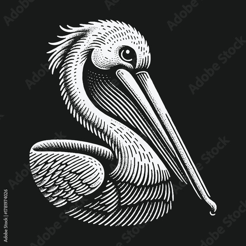 Detailed woodcut style pelican bird on black background.