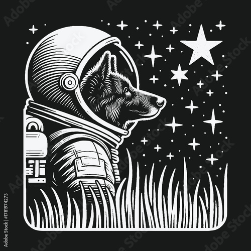 Canine astronaut gazes at the stars from a grassy field.