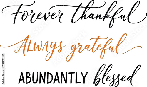 Express your gratitude with this artistic lettering for Thanksgiving, featuring 'Forever Thankful, Always Grateful, Abundantly Blessed' in elegant script