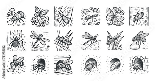 Insect Habitat Icons