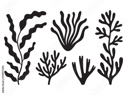 Silhouette black of various seaweed and ocean plants vector illustration