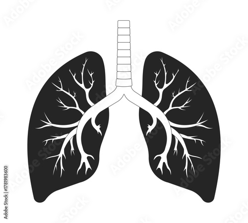 Healthy human lungs with bronchi outline illustration. Breathing organ, trachea. Respiratory system with internal branching airways 2D line object isolated on white. Monochrome vector ink linear image
