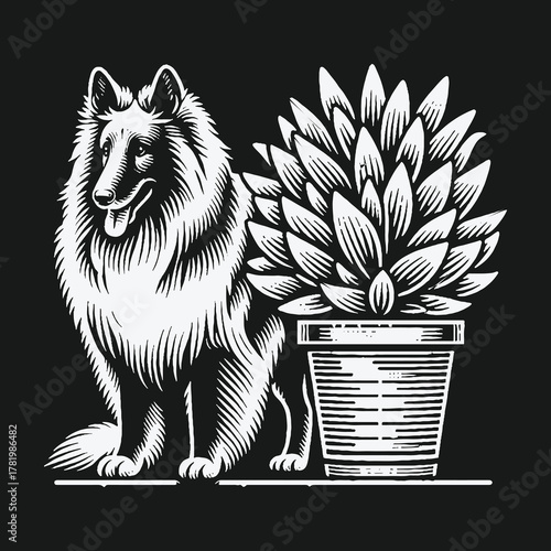 Black and White Collie Dog Sitting by a Potted Succulent Plant Illustration.