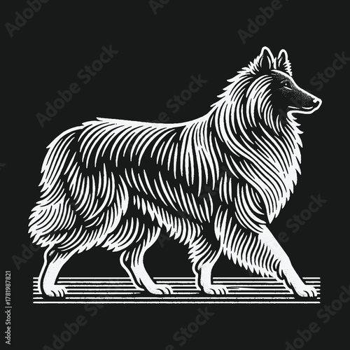 Black and white linocut illustration of a majestic Collie dog.