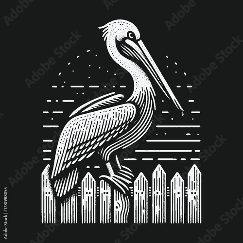 Stylized pelican bird illustration in a vintage woodcut design.