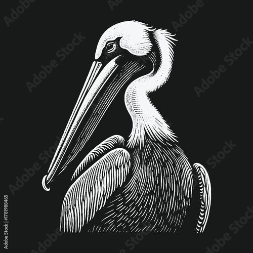Stylized pelican bird profile on a black background.