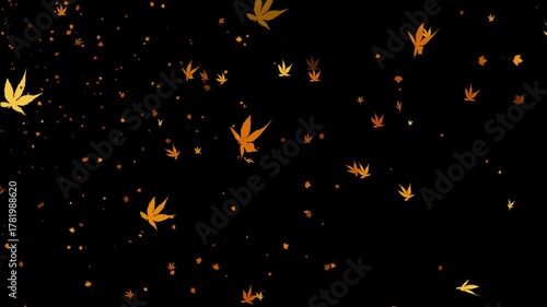 alpha beautiful yellow maple leaves flutter in the wind