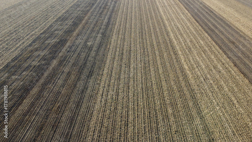 harvested agricultural fields in autumn in Vojvodina province-drone view