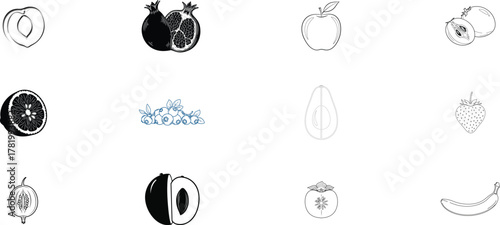 Collection of hand drawn botanical illustrations of various fruits and vegetables in sketch style