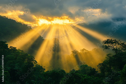 Golden beams of sunlight piercing through low-lying clouds in dense rainforest