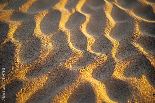 Golden hour glow enhancing the depth and movement of sand ripples