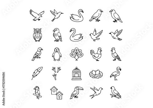 Vector Bird Icons Collection - Ornithology Set, Black and White Avian Line Art Pictograms, Unique Feathered Friends Icons - Thick Line