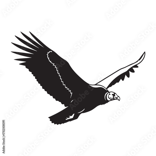 Black silhouette of a bird of prey in flight eagle
