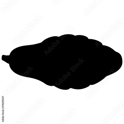 Silhouette of a papaya, a tropical fruit with seeds