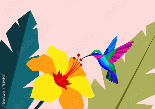 Colorful hummingbird feeding on yellow hibiscus flower against pink background  