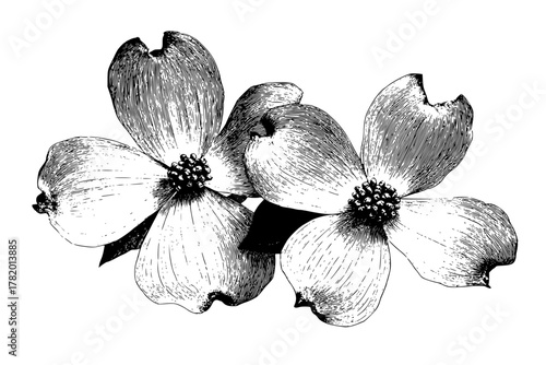 Artful Black White Flower Bouquet | Clean, isolated vector art for creative projects.