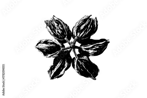 Cascading Bloom Nature's Whisper | Clean, isolated vector art for creative projects.