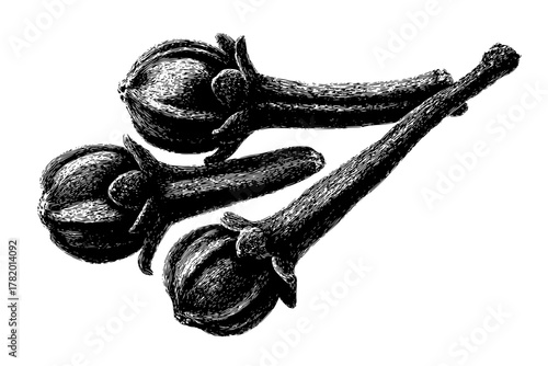 Spice Life: Close- Study Black White | Clean, isolated vector art for creative projects.