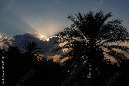 Sunrise with palms, clouds and sun rays