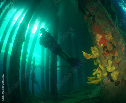 Fotografie Diver exploring a coral-covered pier in Curaçao