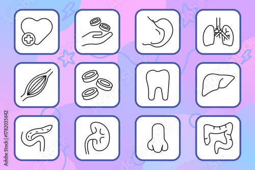 Anatomy set icon. Heart, stomach, lungs, liver, kidneys, tooth, pancreas, intestines, muscle, blood cells, nose, organ, biology, body, health, structure, system, anatomy, medical, science.
