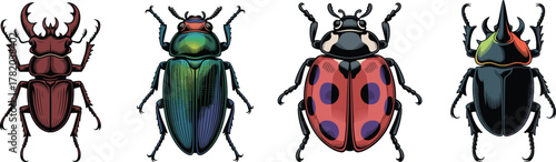 Detailed Beetle Vector Set: Stag, Rhino, Jewel, and Ladybug Insect Illustrations with Horns and Iridescence