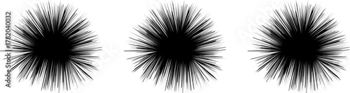 Black and white abstract background with a macro closeup of a dandelion seed head texture