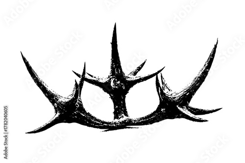 Thorny Crown Himalayan Blackberries | Clean, isolated vector art for creative projects.