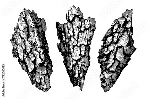 Fossilized Forest: Three Ancient Hemlock Bark Pieces Black White | Clean, isolated vector art for creative projects.