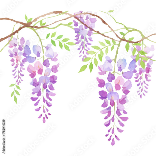 水彩風の華やかな藤の花イラスト