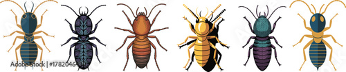 Detailed Termite Vector Set: Soldier and Worker Illustrations in Various Stylized and Realistic Color Tones