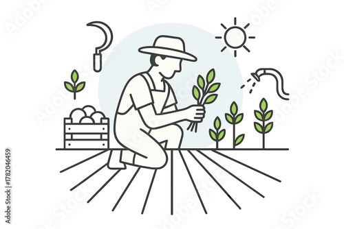 Agricultural worker tending to young plants in a cultivated field during sunny weather