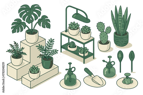 Collection of potted house plants and gardening tools in isometric perspective