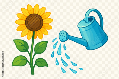 Sunflower plant being watered by bright blue watering can