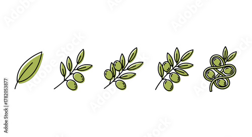 Set of stylized olive branches and leaves in a cartoon illustration style, featuring a single leaf, branches with olives, and an abstract olive knot design, all presented on a clean white background