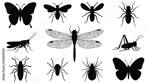 A black and white illustration featuring 11 insect silhouettes arranged in a grid pattern against a white background 
