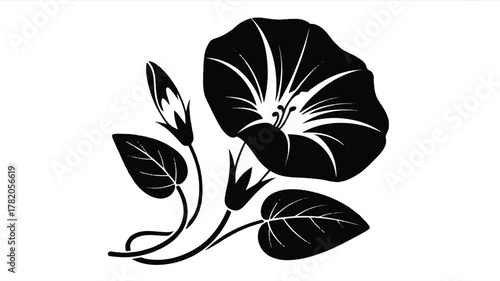 A black and white minimalist illustration of a morning glory flower in a stylized art nouveau style.  

