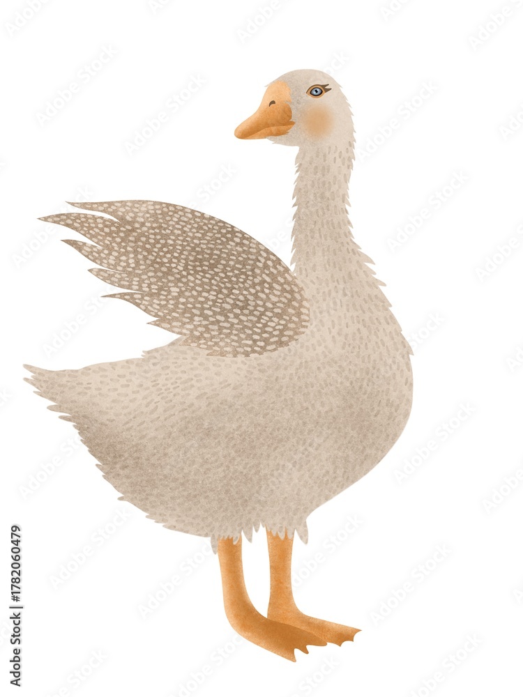 Obraz premium Hand-drawn cute goose on a white background. Bird in cartoon style
